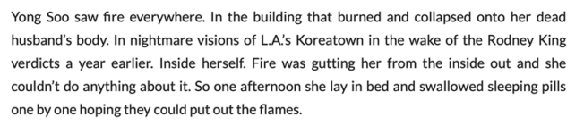 Excerpt from <em>Fire Illness</em> Excerpt from Fire Illness