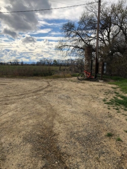 West end of the Willow Creek levee, or at least, this portion of it
